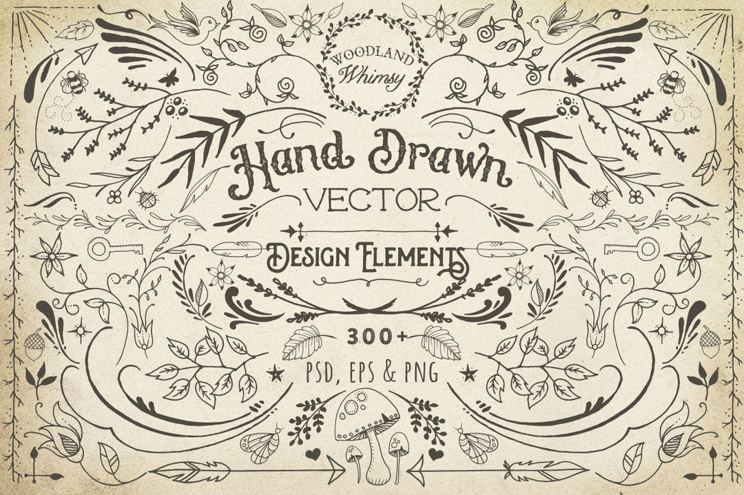 Hand Drawn Vector Design Elements