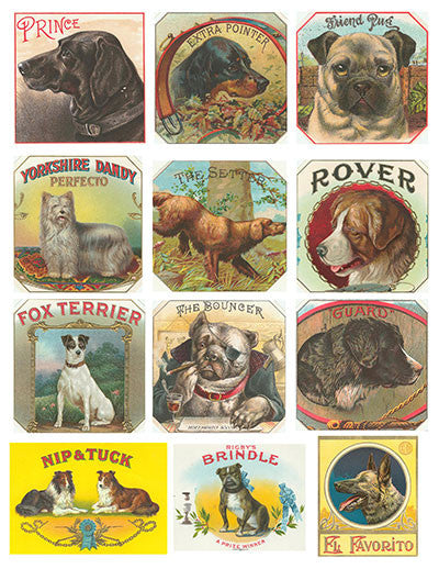 Free Vintage Dog Cigar Label Graphics