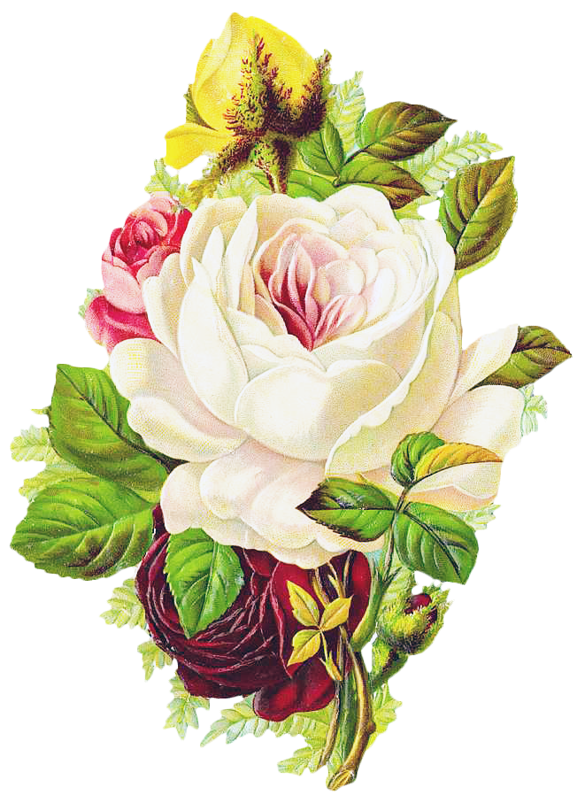 Free Graphic Friday - Rose Bouquet