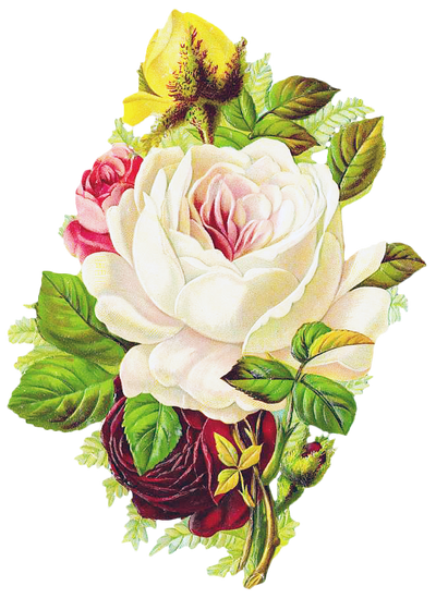 Free Graphic Friday - Rose Bouquet