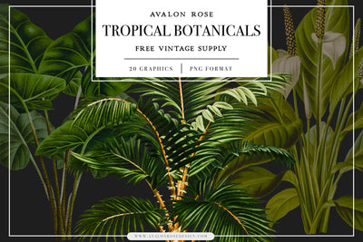FREE Vintage Tropical Botanical Graphics