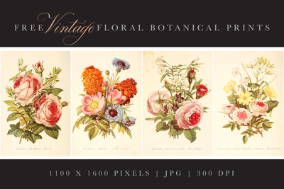4 FREE Vintage Floral Botanical Prints