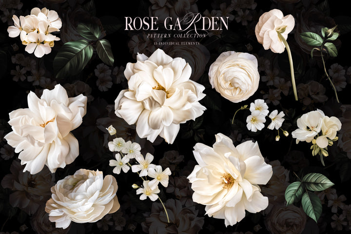 White Rose Garden Clip Art and Pattern Graphics Collection