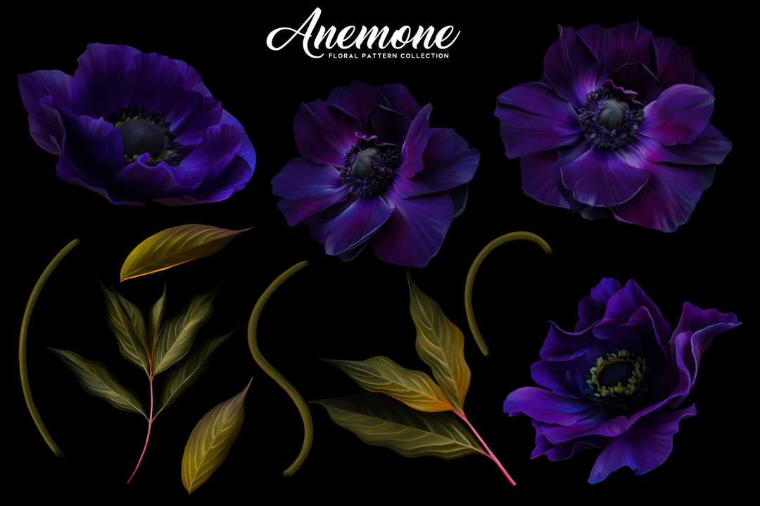 Anemone Floral Pattern Collection