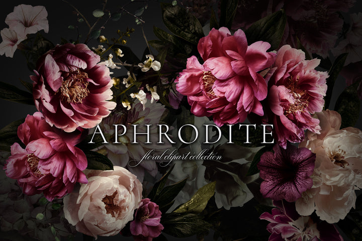 Aphrodite Floral Clip Art Graphics Collection