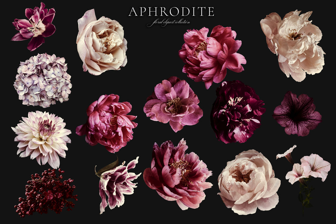 Aphrodite Floral Clip Art Graphics Collection