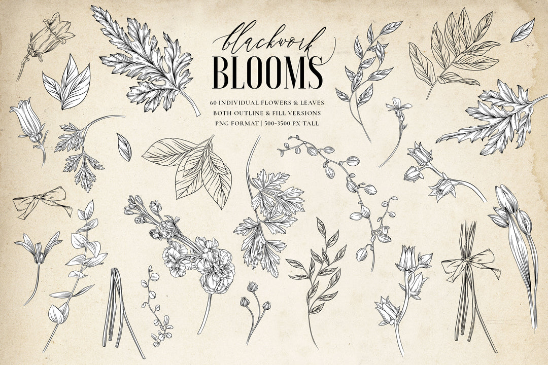 Blackwork Blooms Floral Illustration & Procreate Brush Kit