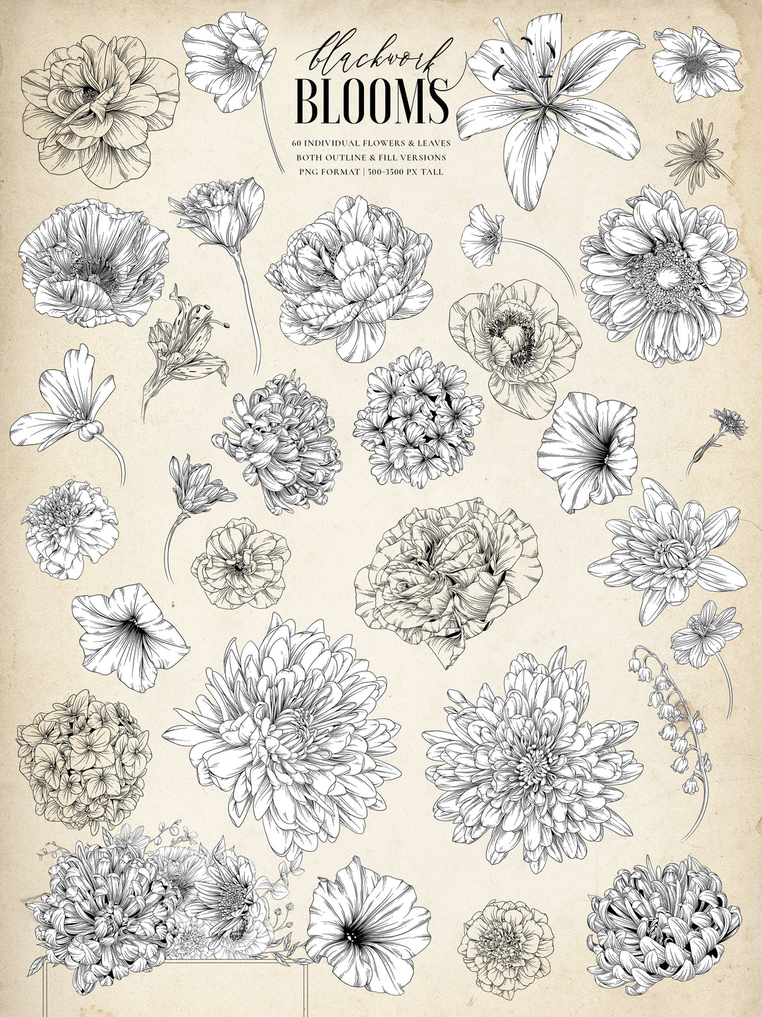 Blackwork Blooms Floral Illustration & Procreate Brush Kit
