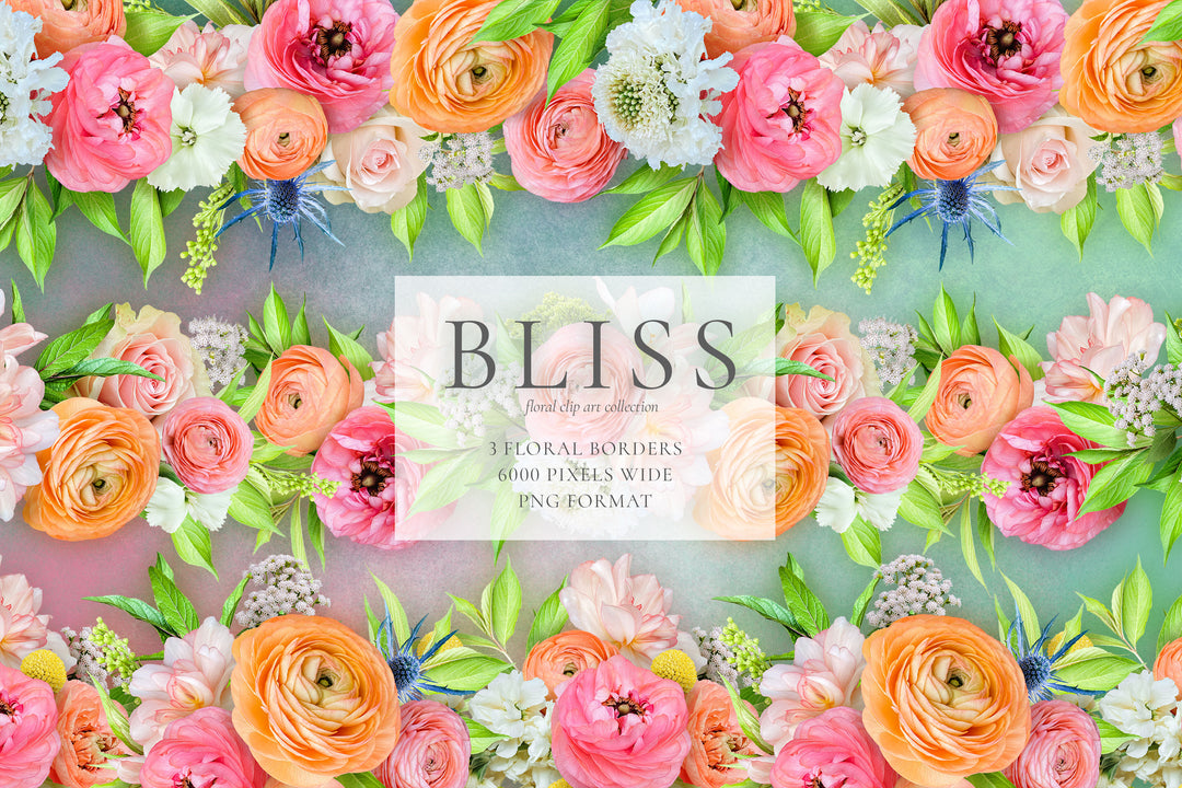 Bliss Floral Clip Art Graphics Collection