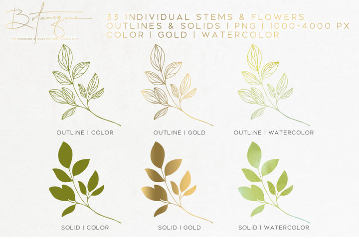 Botanique - Floral Watercolor & Illustration Kit