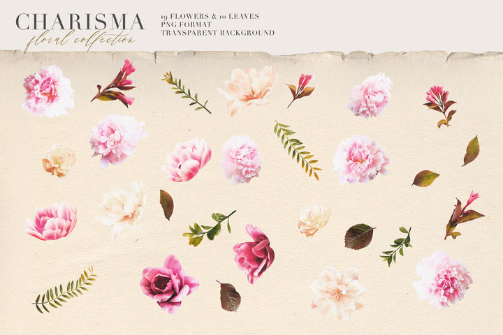 Charisma Watercolor Flower Collection
