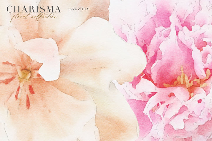 Charisma Watercolor Flower Collection