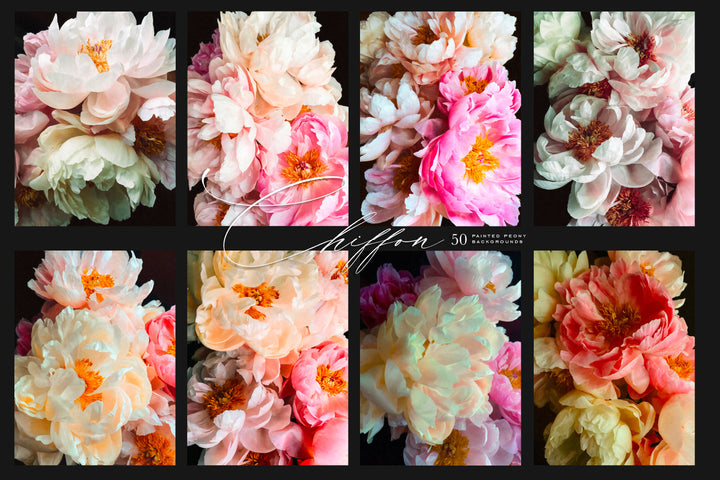 Chiffon Painted Peony Background Collection