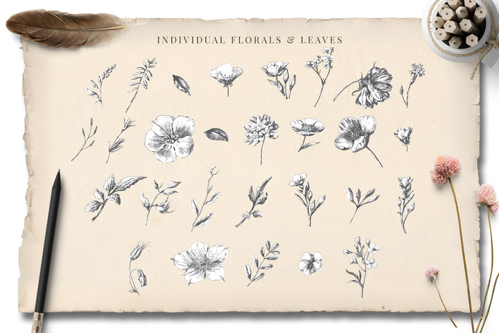 Botanical Curiosities Monograms and Florals