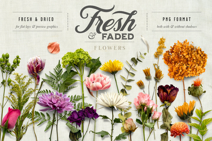 Fresh & Faded Floral Scene Creator Graphics