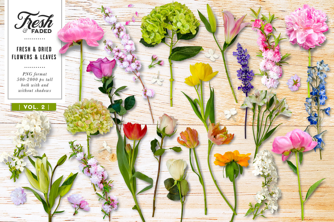 Fresh & Faded Floral Scene Creator Graphics Vol. 2