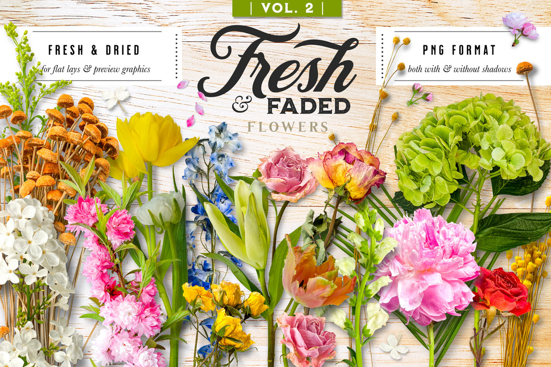 Fresh & Faded Floral Scene Creator Graphics Vol. 2