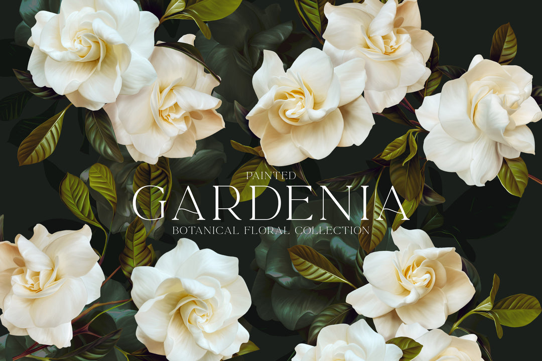 Gardenia Botanical Floral Clip Art & Patterns