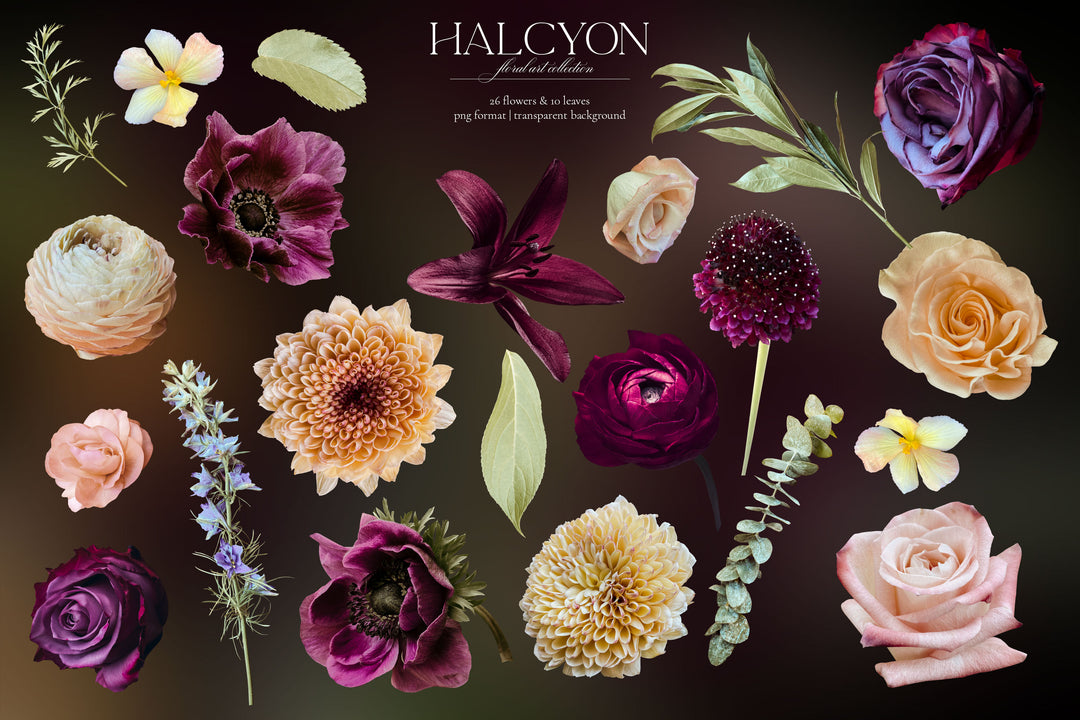 Halcyon Floral Clip Art Graphics Collection