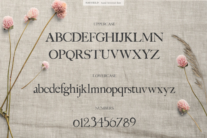 Hayfield Hand Lettered Font