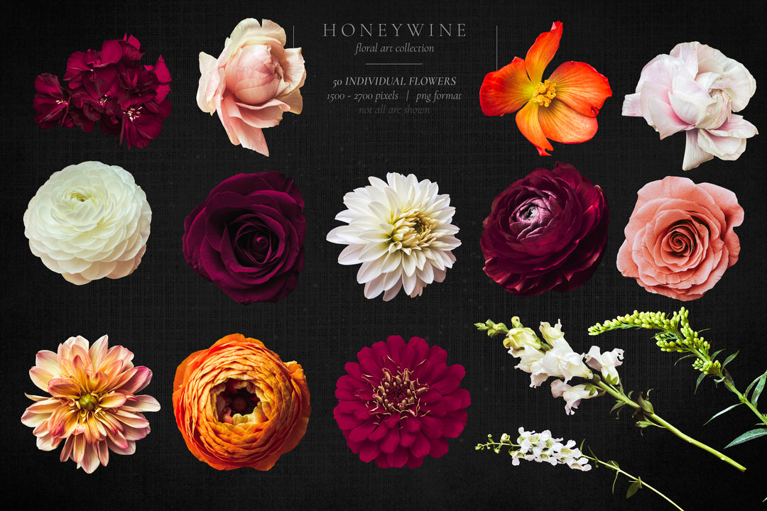Honeywine Floral Clip Art Graphics Collection