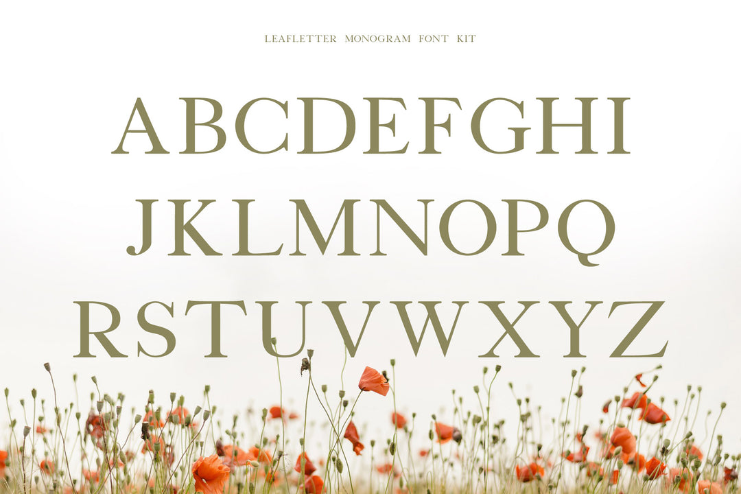 Leafletter Split Monogram Display Font Kit