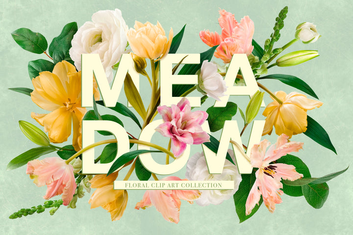 Spring Meadow Floral Clip Art Graphics Collection