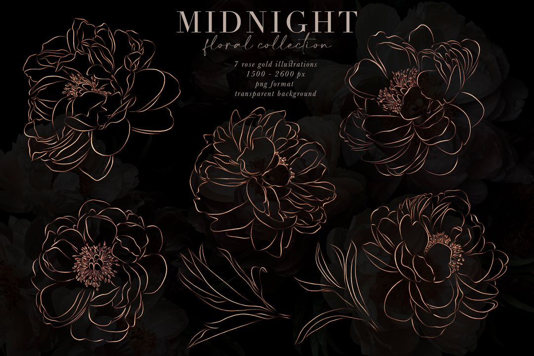Midnight Floral Clip Art Graphics Collection