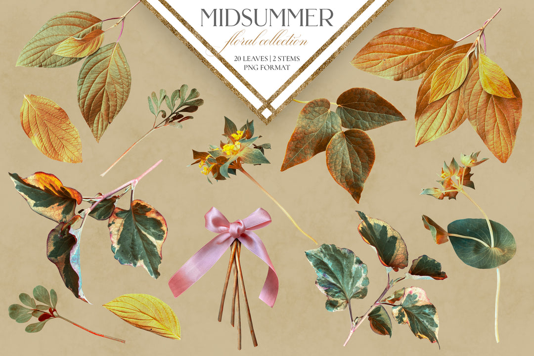 Midsummer Floral Clip Art Graphics Collection