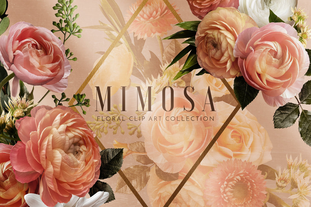 Mimosa Floral Clip Art Graphics Collection