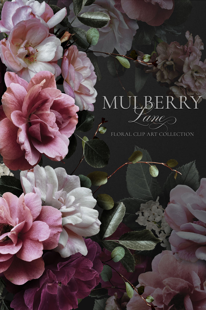 Mulberry Lane Rose Floral Clip Art Patterns Graphics Collection