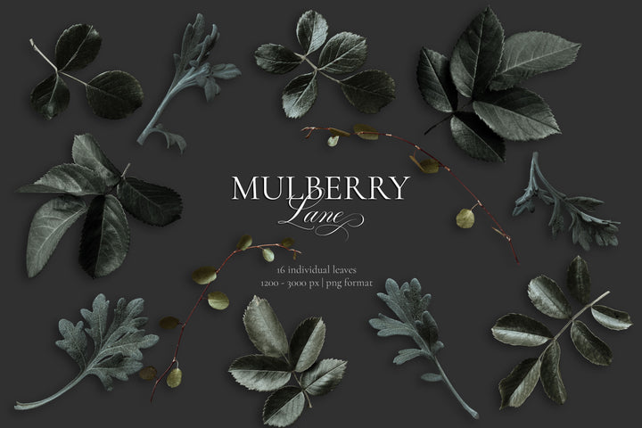 Mulberry Lane Rose Floral Clip Art Patterns Graphics Collection