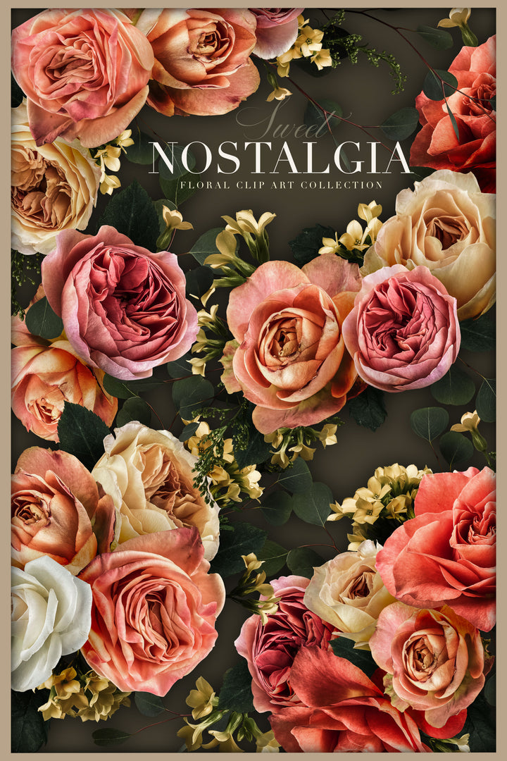 Sweet Nostalgia Rose Floral Clip Art Graphics Collection