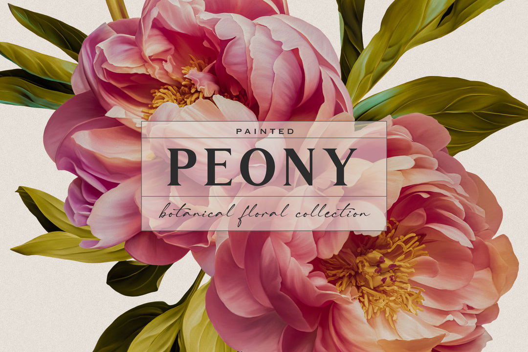 Peony Botanical Floral Clip Art Graphics Collection