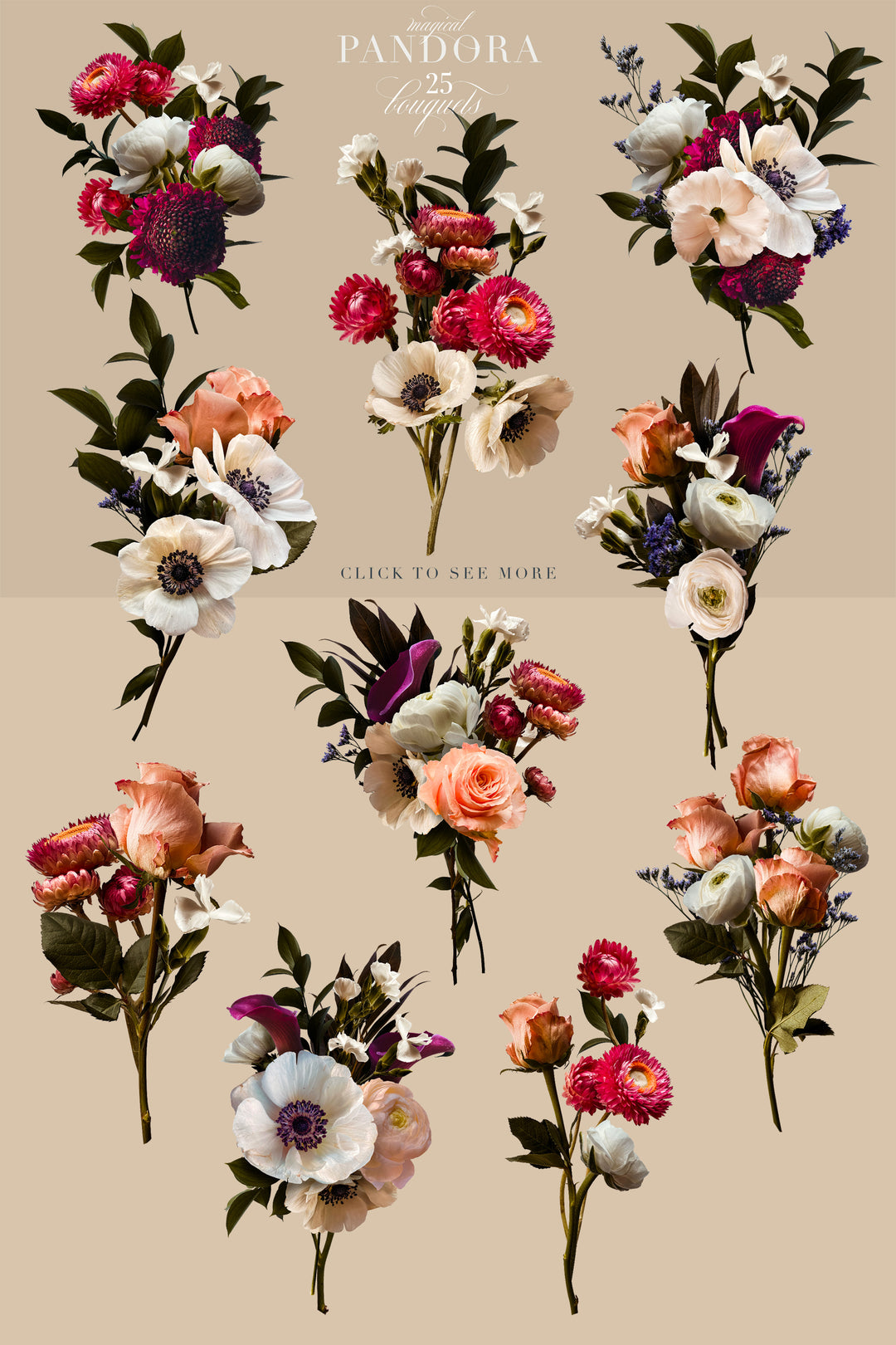 Pandora Moody Floral Clip Art Graphics Collection