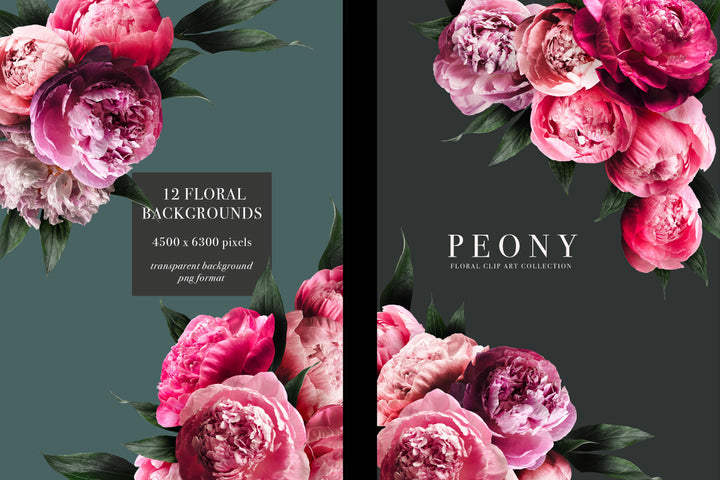 Peony Floral Clip Art Graphics Collection