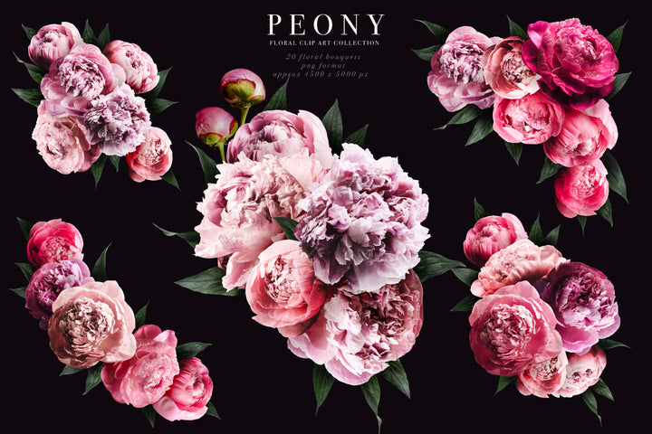Peony Floral Clip Art Graphics Collection