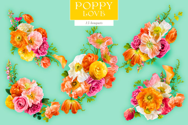 Poppy Love Floral Clip Art Graphics Collection