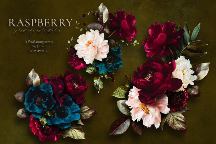 Raspberry Floral Clip Art Graphics Collection