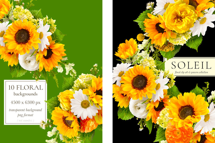 Soleil Floral Pattern &  Clip Art Graphics Collection