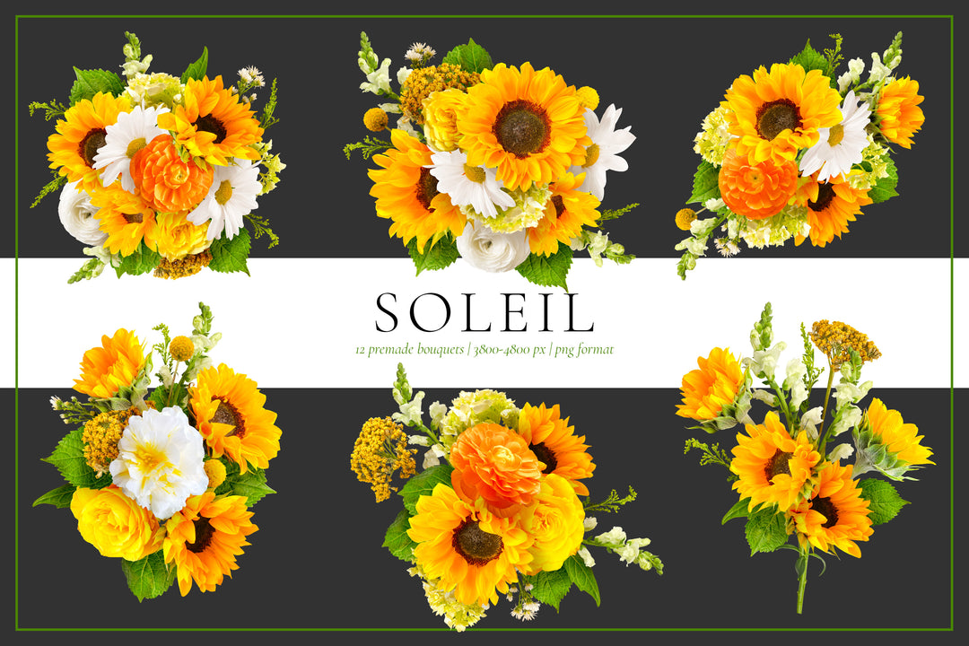 Soleil Floral Pattern &  Clip Art Graphics Collection