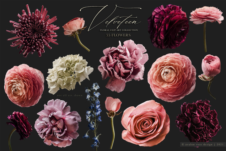 Velveteen Moody Floral Clip Art Graphics Collection