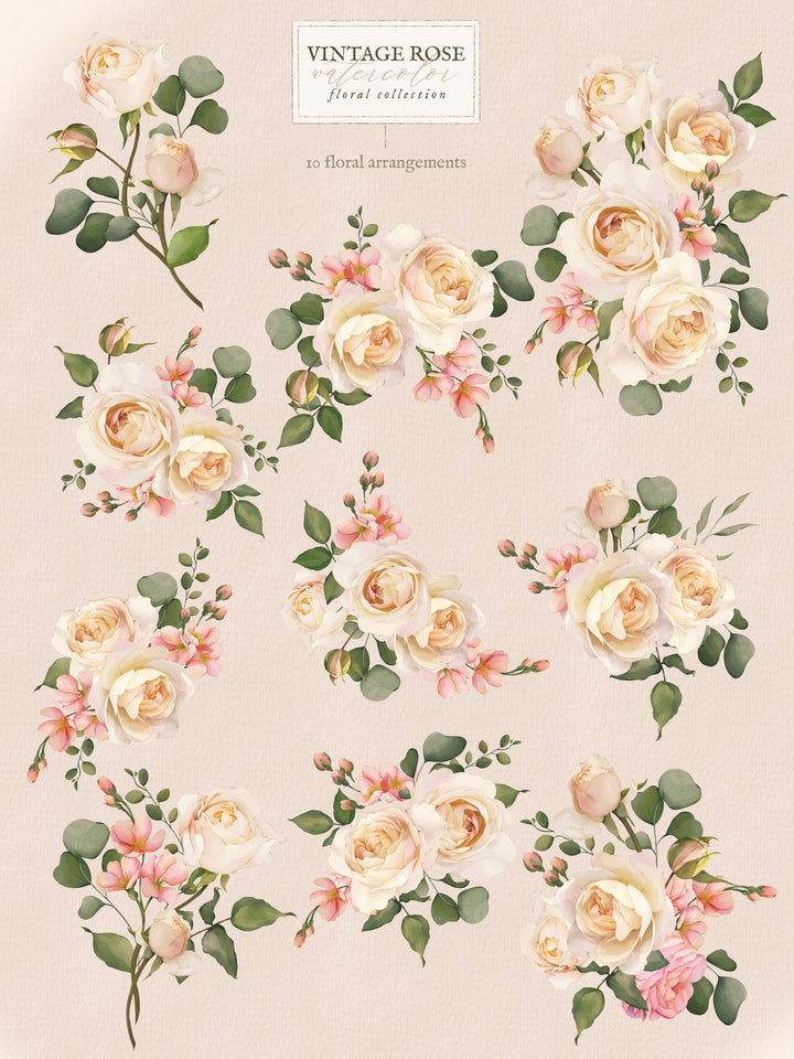 Vintage Rose Watercolor Floral Collection
