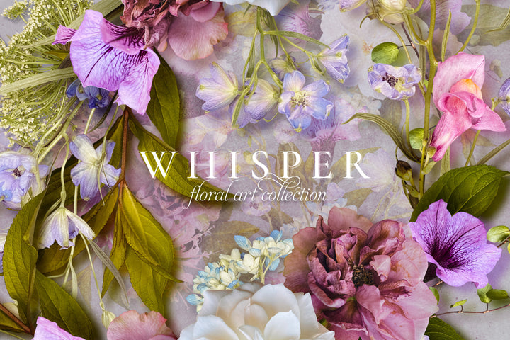 Whisper Floral Clip Art Graphics Collection