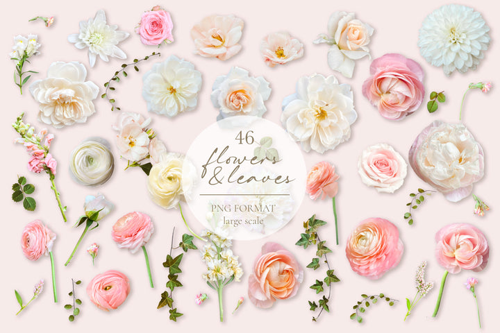 Floral Stationery Mockups & Flower Collection